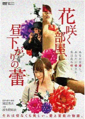 苦尽甘来家人角色解析封面